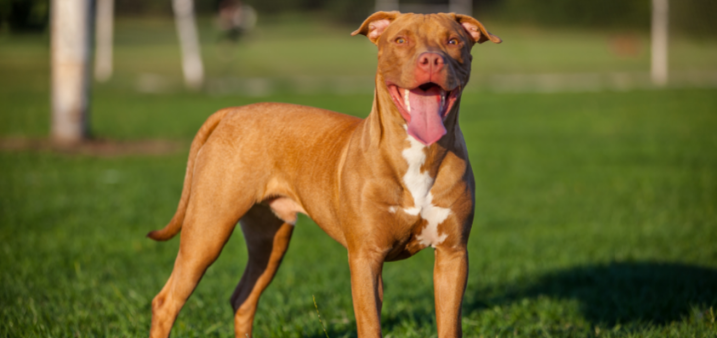 Courts & legal news weekly roundup&nbsp;