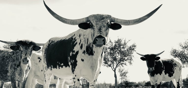 Court and legal news roundup