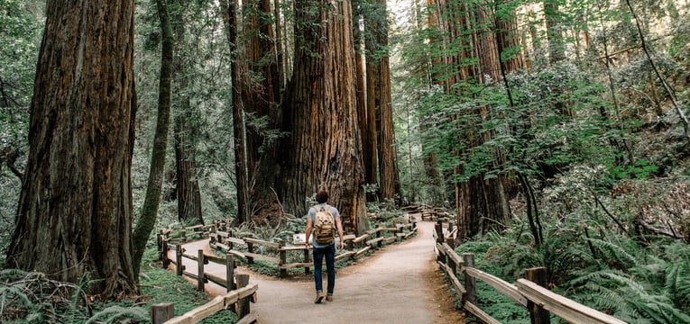 Paralegal career paths — where does your legal support career go from here?