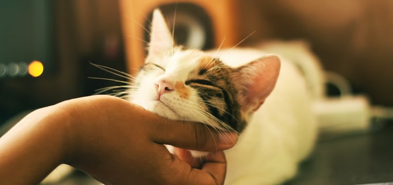 Court and legal news roundup